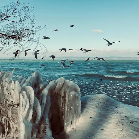 Seaforth Apartament *